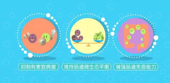 骨灰玩家:《决战沙城之热血传说》玩一天有一天情怀‘开云kaiyun官方网站’(图2) kaiyun官网入口