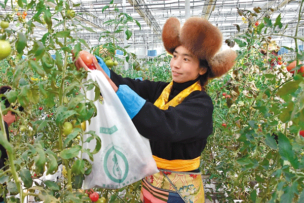 开云kaiyun官方网站