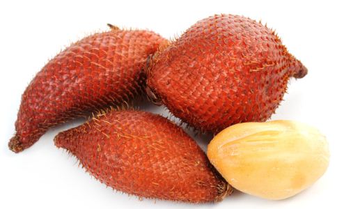 开云kaiyun官方网站