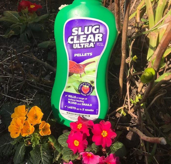 kaiyun官网入口-steam每日特惠:装修模拟器《房产达人》半价35元(图1) 开云kaiyun官方网站