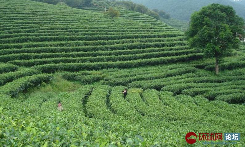 开云kaiyun官方网站