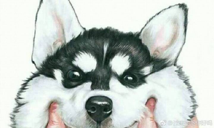 江湖惊变青梅缘起 天刀冬季史诗资料片今日登场“开云kaiyun官方网站”(图1) kaiyun官网入口