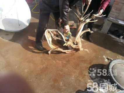 乐视网推进债务重组 减少对融创债务3000万元-kaiyun官网入口(图1) Kaiyun官方网站