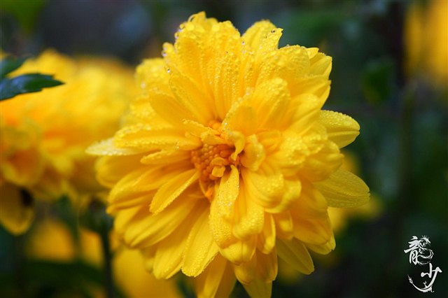 开云kaiyun官方网站