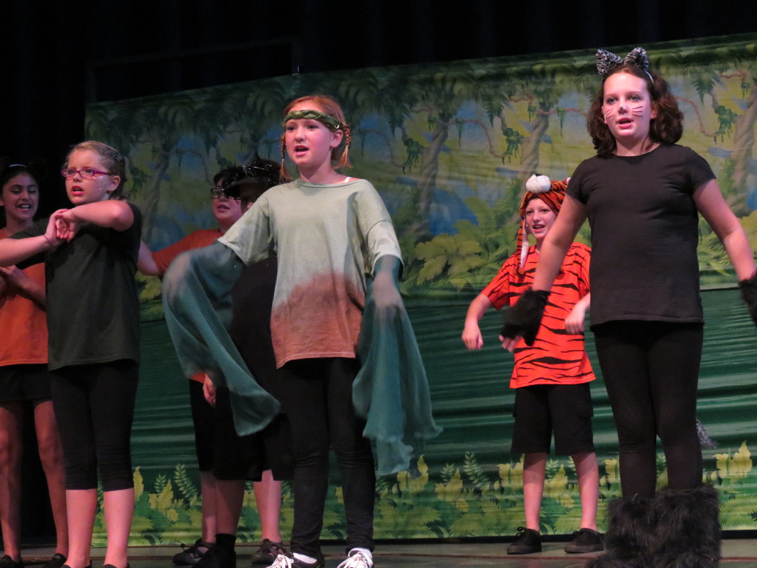 开云kaiyun官方网站