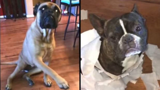 开云kaiyun官方网站