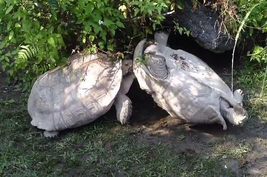 开云kaiyun官方网站