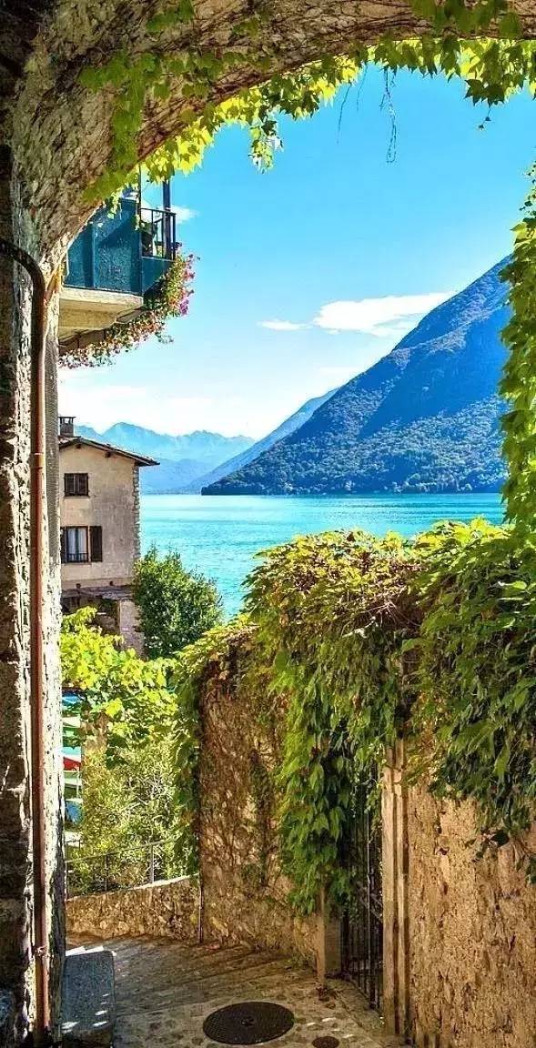 开云kaiyun官方网站