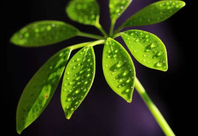 【Kaiyun官方网站】滨江集团:27亿元公司债券获证监会核准批复(图4) kaiyun官网入口