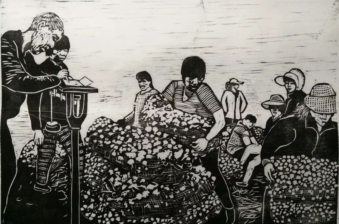 开云kaiyun官方网站