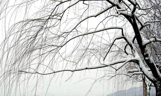 专家热议保利国际广场-Kaiyun官方网站(图3) Kaiyun官方网站