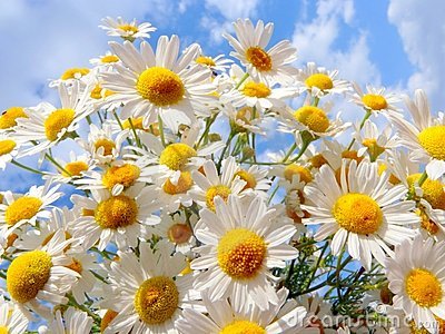 国瑞紫金台:突围限购 坐地起价【kaiyun官网入口】(图2) kaiyun官网入口