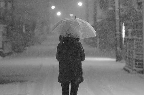 Kaiyun官方网站-Steam《皮行者狩猎》2020年发售:恐怖狩猎之旅!(图3) Kaiyun官方网站