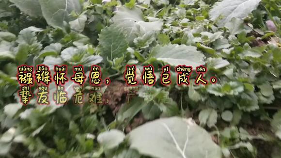 Kaiyun官方网站