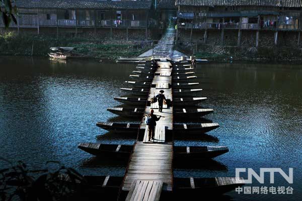 奇葩游戏《肌肉猫》开众筹 2020年登陆Steam‘开云kaiyun官方网站’(图1) kaiyun官网入口