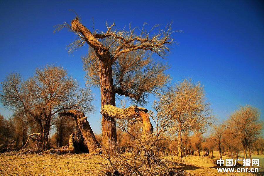 开云kaiyun官方网站-鲁能集团发布绿色战略 推行绿色开发四大标准体系(图2) kaiyun官网入口