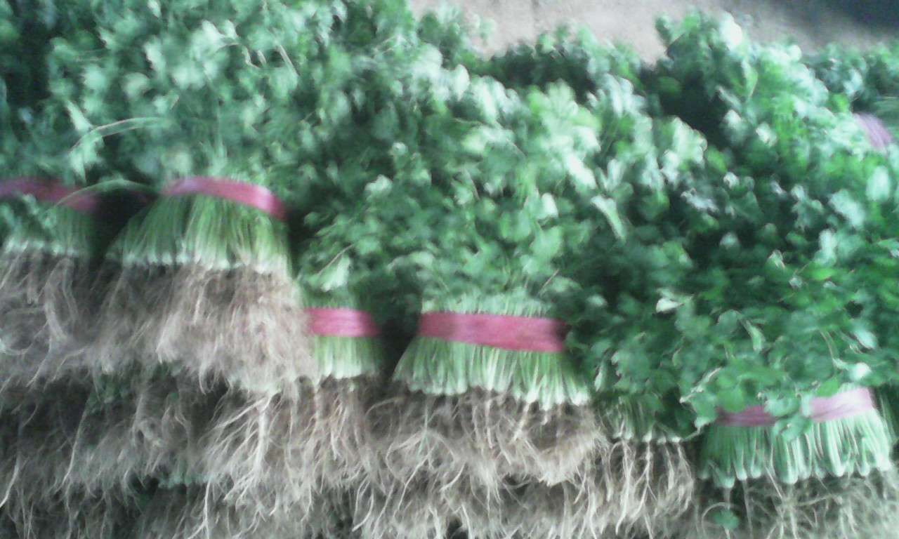 云南城投停牌 正筹划收购资产“kaiyun官网入口”(图1) 开云kaiyun官方网站