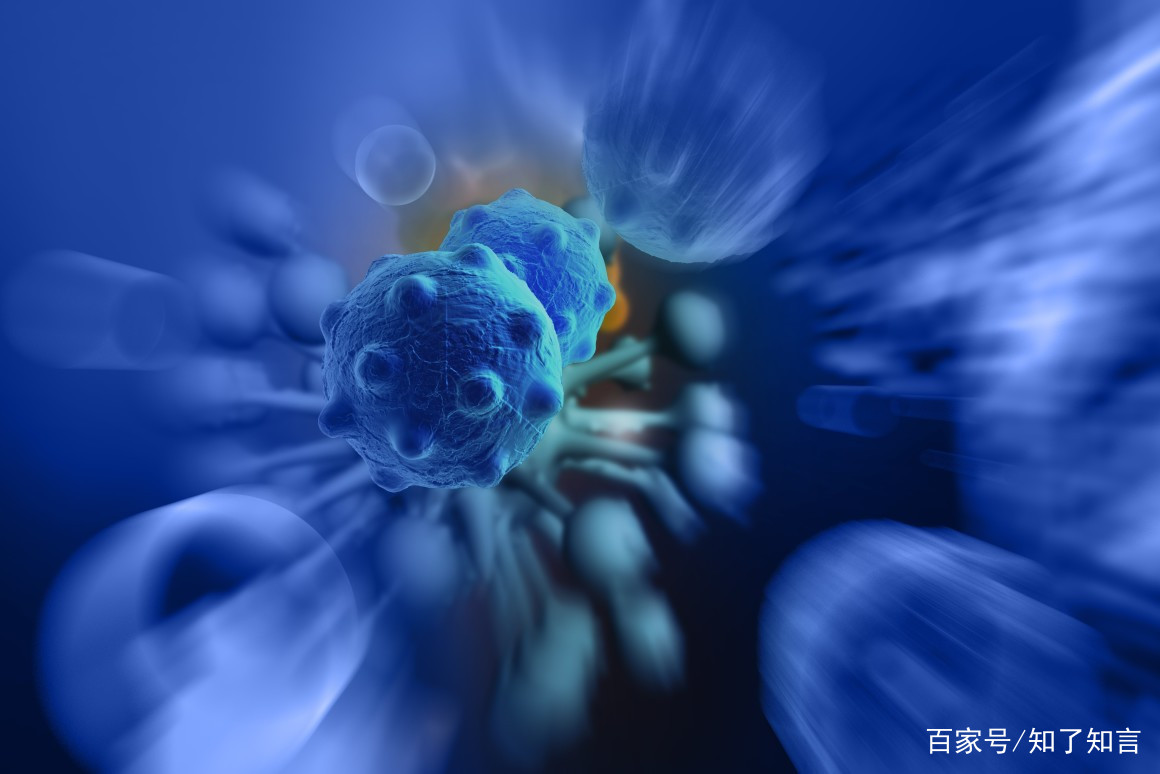 开云kaiyun官方网站