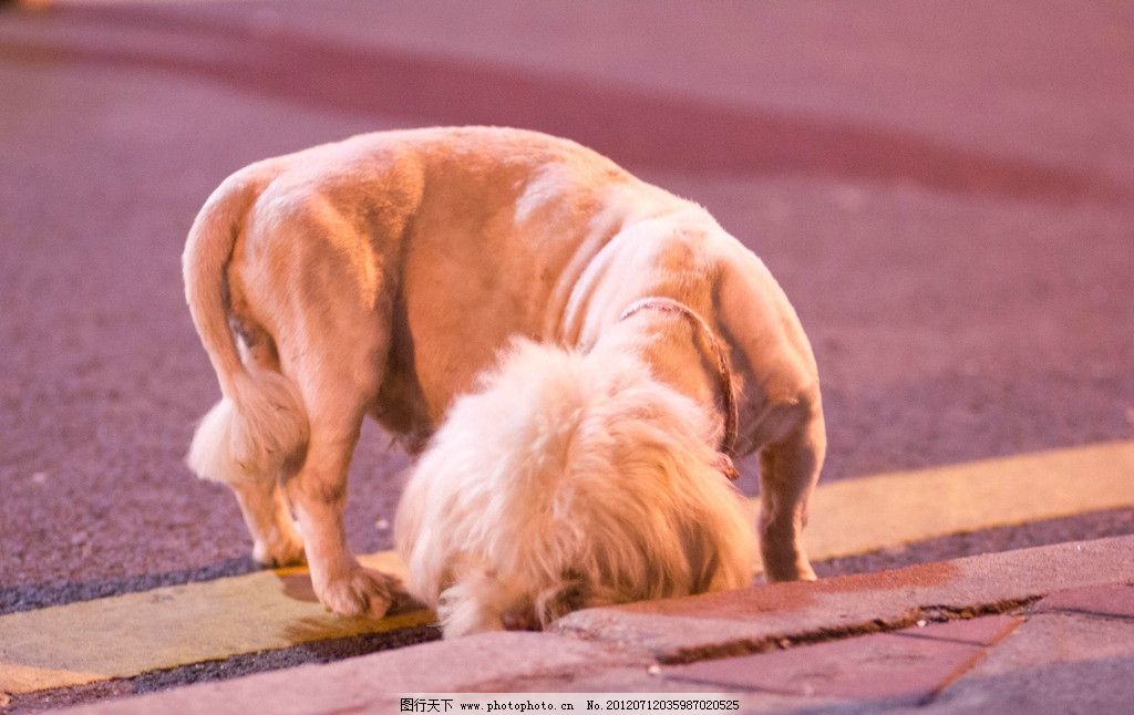 ‘Kaiyun官方网站’京投银泰借品牌升级打开想象空间(图1) 开云kaiyun官方网站