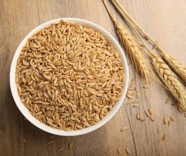 开云kaiyun官方网站