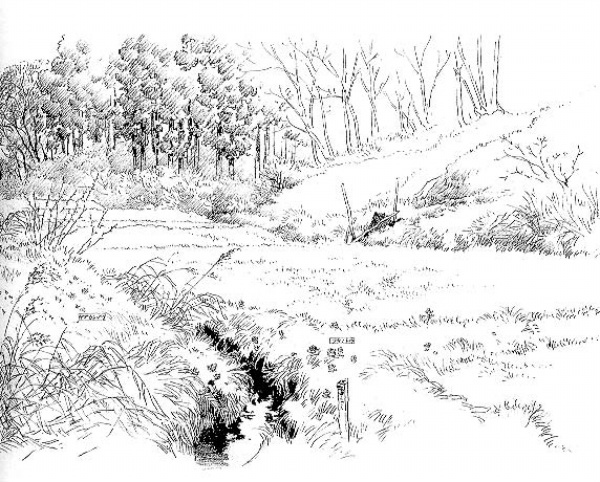 kaiyun官网入口|天恒世界集:“互联网+健康社区”概念突围商住红海(图1) kaiyun官网入口